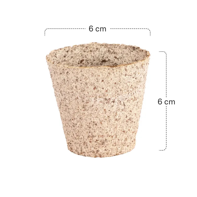 Siena GARDEN Organic Seedling Pots, 24 pieces, Ø 6 cm, round