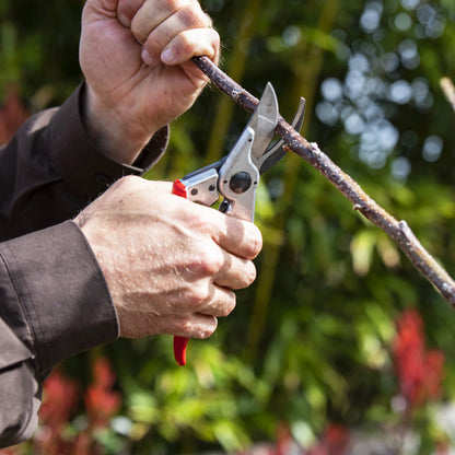 FELCO 11 Bypass-Gartenschere für Rechtshänder