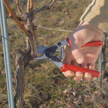 FELCO 12 Bypass-Gartenschere für Rechtshänder