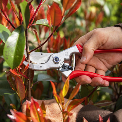 Felco 4 One-Hand Pruning Shear - Performance - Basic Model