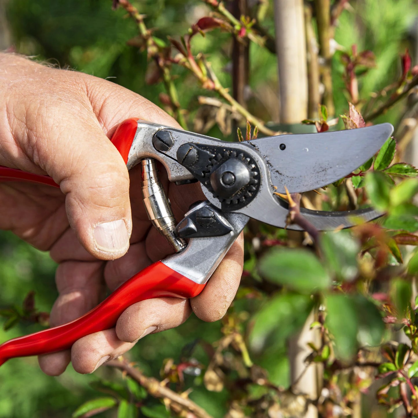FELCO 9 Bypass-Gartenschere für Linkshänder