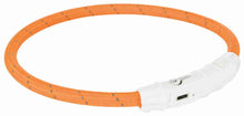 Trixie Flash Leuchtring USB