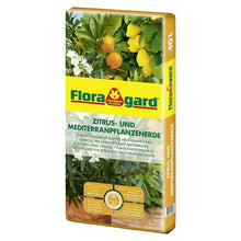 Floragard Zitrus- und Mediterranpflanzerde 40 Liter