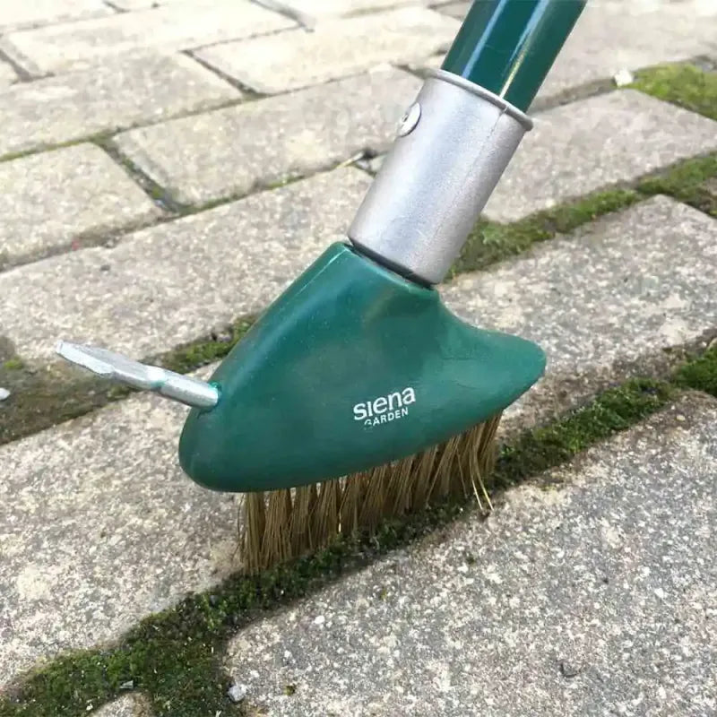 Siena GARDEN Replacement Grout Brush for 3-in-1 Grout Brush Set