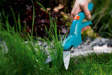 Classic Grass Shears, loose