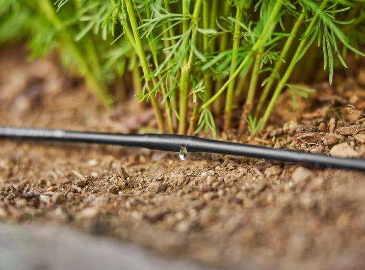 Micro-Drip-System Drip Line, above-ground, 4.6 mm (3/16"), 1.5 l/h, 15 m, without fittings