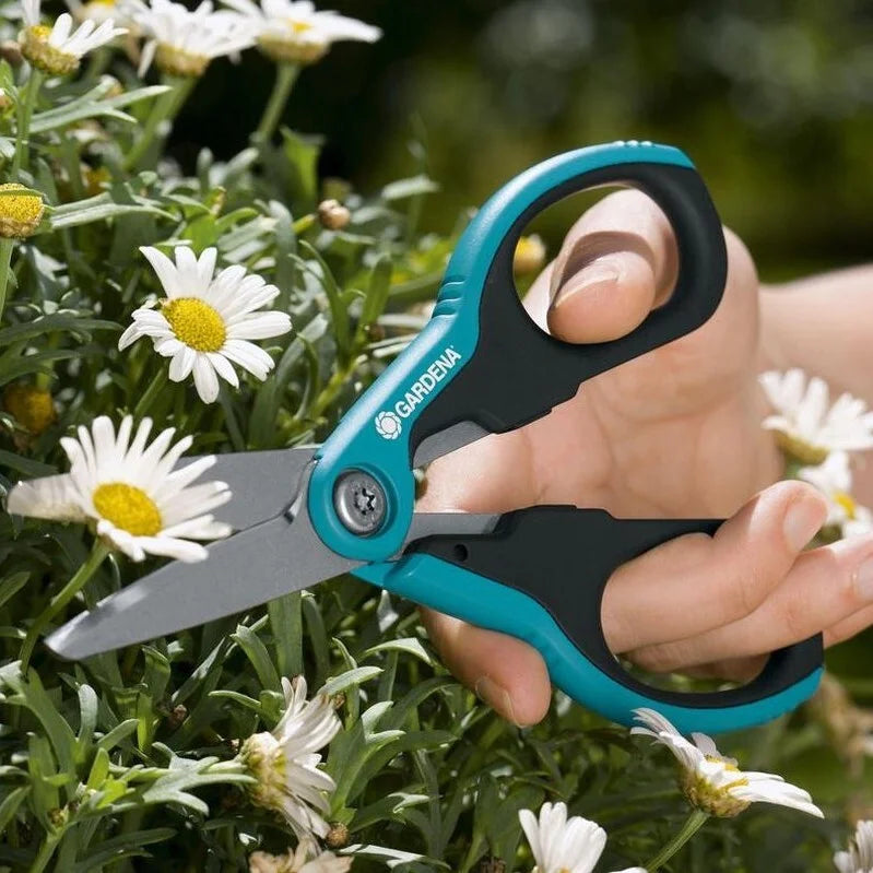 Universal Scissors Soft