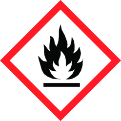 Evergreen Nexa-Lotte Wespen K.O Spray