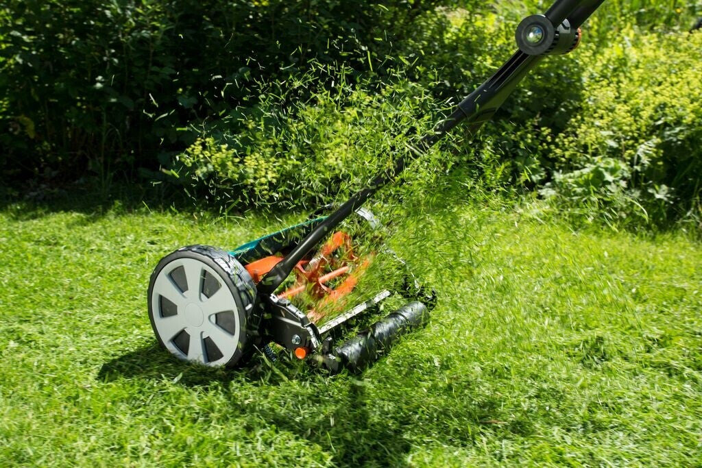 Cylinder Mower Classic 330