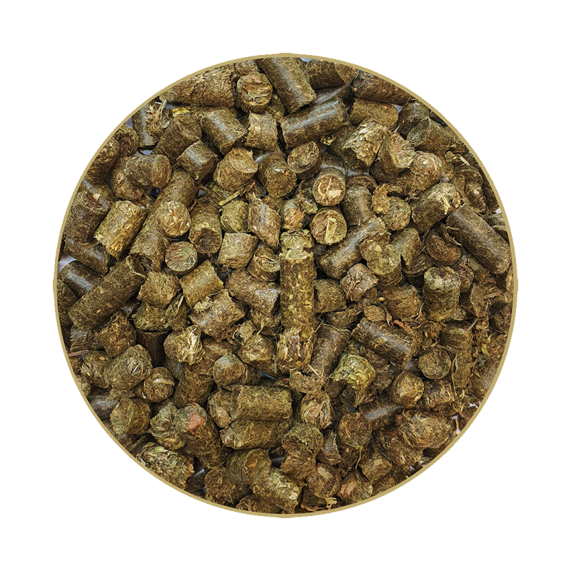 St.Hippolyt GlyxWiese Hay Cobs