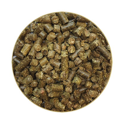 St.Hippolyt GlyxWiese Hay Cobs
