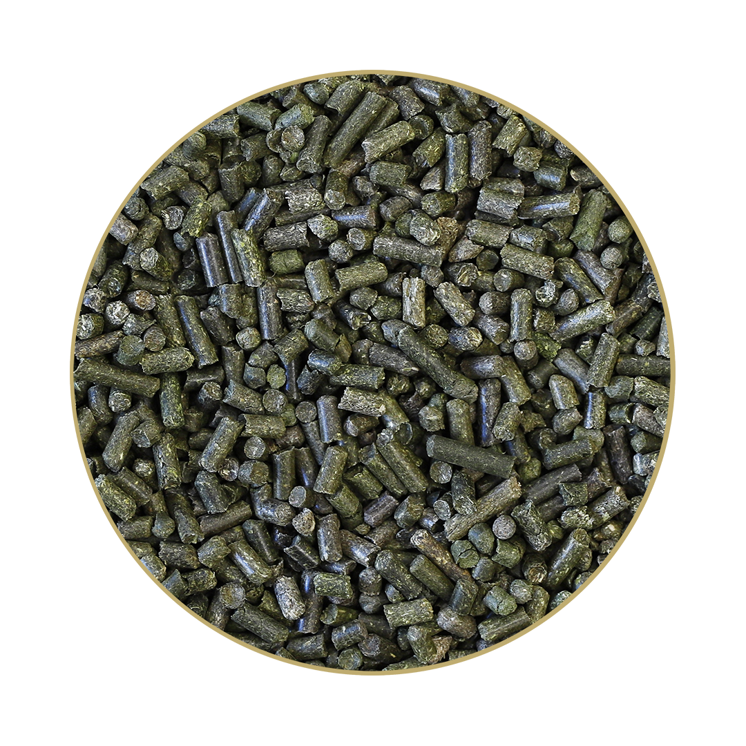 St.Hippolyt Glyx Meadow Sainfoin Cobs 20 kg