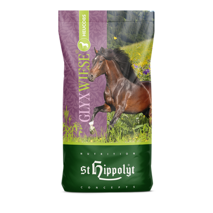 St.Hippolyt GlyxWiese Hay Cobs