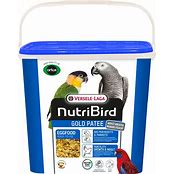 Gold Patee Large Parakeet / Parrot