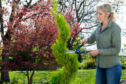 GARDENA Heckenschere PrecisionCut