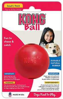 KONG Ball Hundespielzeug
