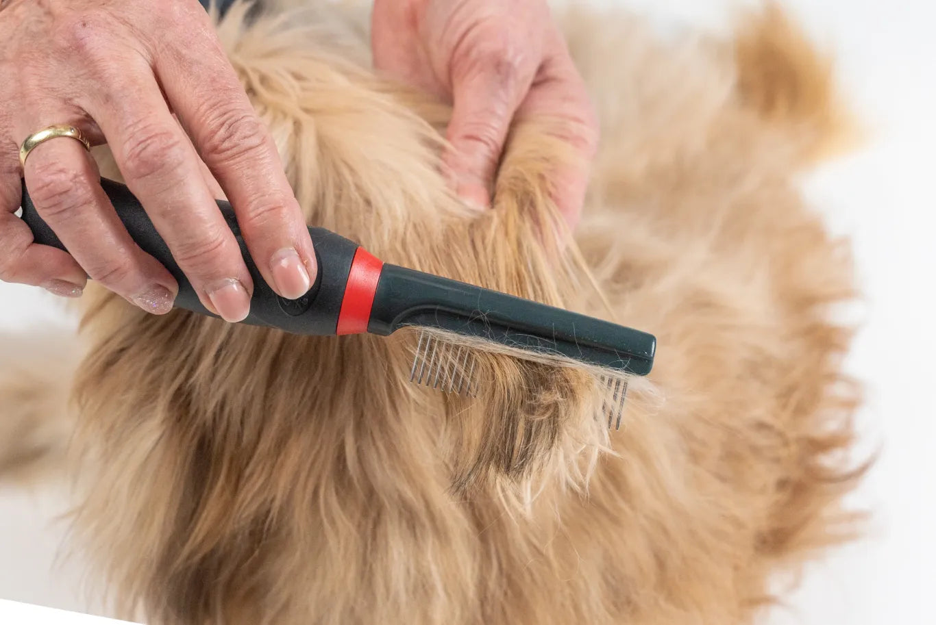 TrendPet Kamm mit 42 Stiften