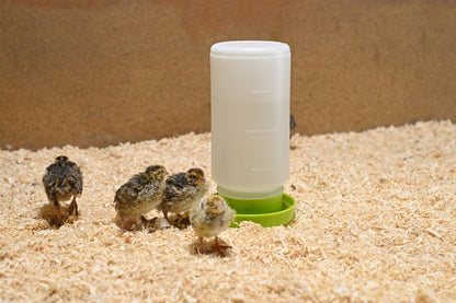 Kerbl Plastic Chick/Quail Drinker 1 L
