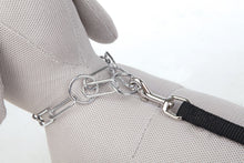 Trixie Kettenhalsband für Hunde