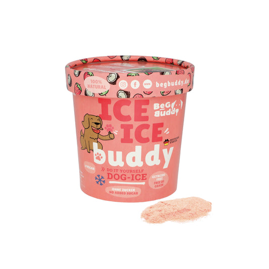 BeG Buddy Eispulver versch. Sorten