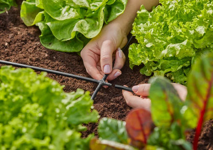 GARDENA Micro-Drip-System Kreuzstück 4,6 mm (3/16")