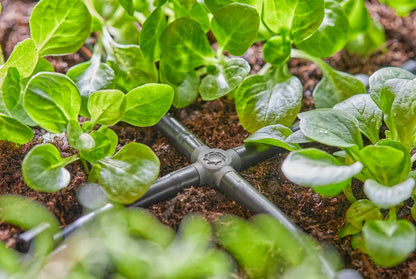 GARDENA Micro-Drip-System Kreuzstück 4,6 mm (3/16")