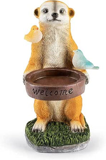 LED Solar Meerkat with Bird Bath