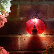 LED Solar Ladybugs Set of 3, Colored