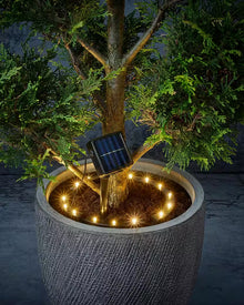 LED Solar Plant Light IC Gardenworld