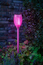 Innocom LED Solar Gartenfackel