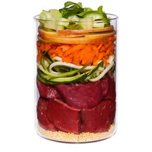 Terra Canis Lamb+Courgette+Millet+Dill
