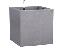 LECHUZA Pflanzenkübel CANTO Stone 30 low Komplettset