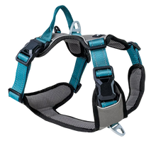 Petlando Magnetech Harness anthracite/petrol