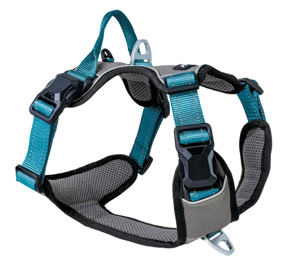 Petlando Magnetech Harness anthracite/petrol
