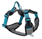 Petlando Magnetech Harness anthracite/petrol