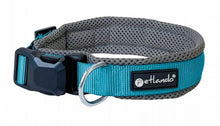 Petlando Magnetech Collar anthracite/petrol