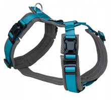 Petlando Magnetech Y-Comfort anthracite/petrol