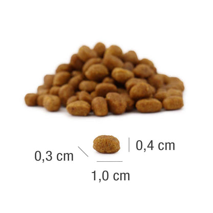 PLATINUM MeatCrisp Kitten Fish