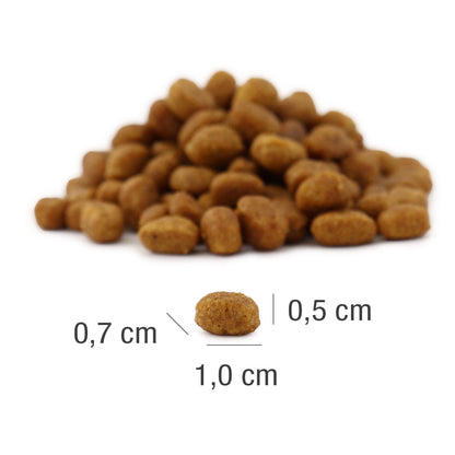 PLATINUM MeatCrisp Sterilised Fish