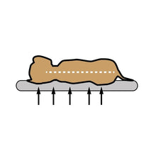 Petlando Ottawa Ortho orthopädisches Hundebett