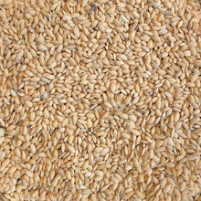 Beyers Paddy Rice 20 kg