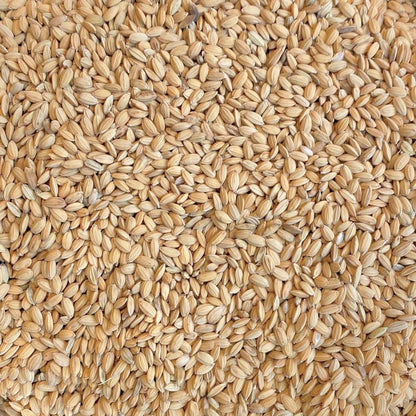 Beyers Paddy Reis 20 kg