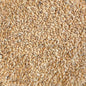 Beyers Paddyreis 20 kg