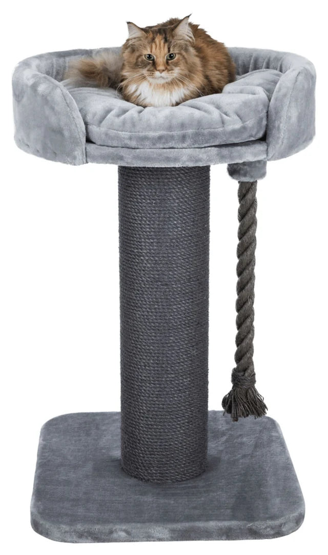 Trixie Kratzbaum XXL Klara 100 cm grau