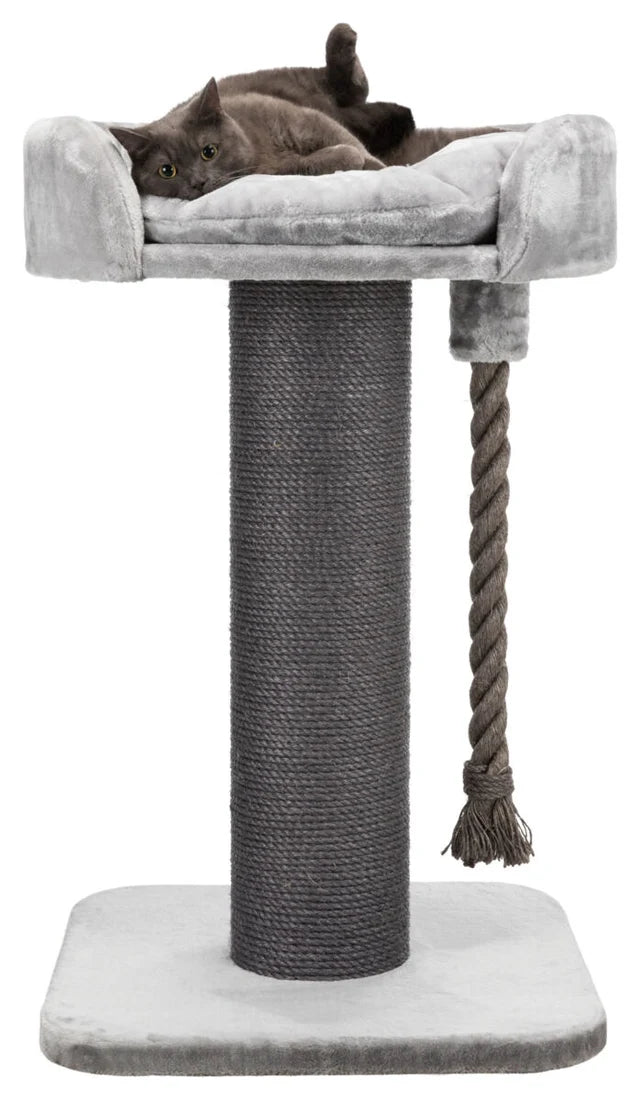 Trixie Kratzbaum XXL Klara 100 cm grau