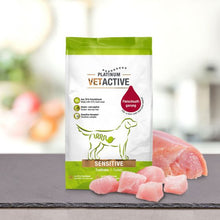PLATINUM VETACTIVE Sensitive Truthahn