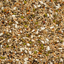 Beyers Premium Seeds Exclusive 20 kg