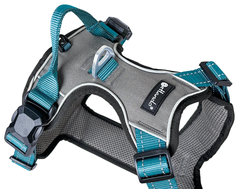Petlando Magnetech Harness anthracite/petrol