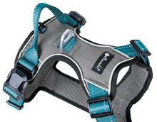 Petlando MAGNETECH Geschirr