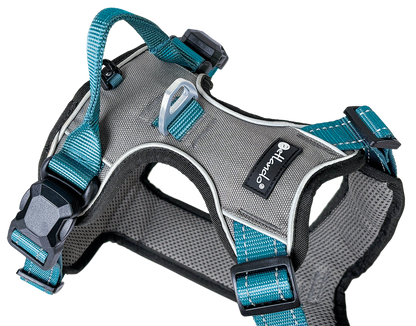 Petlando Magnetech Harness anthracite/petrol